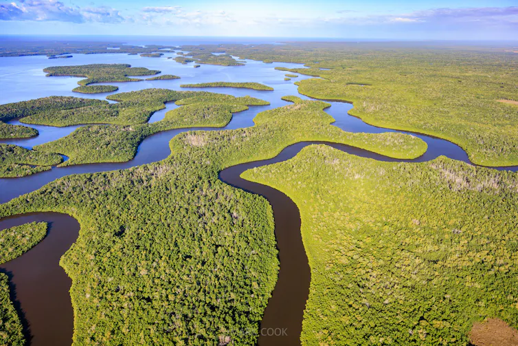 An aerial view with waterways and an area of open water in the Everglades.
