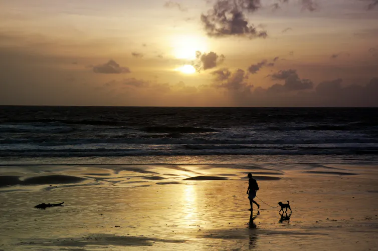 Person walks their dog on a beach at sunset