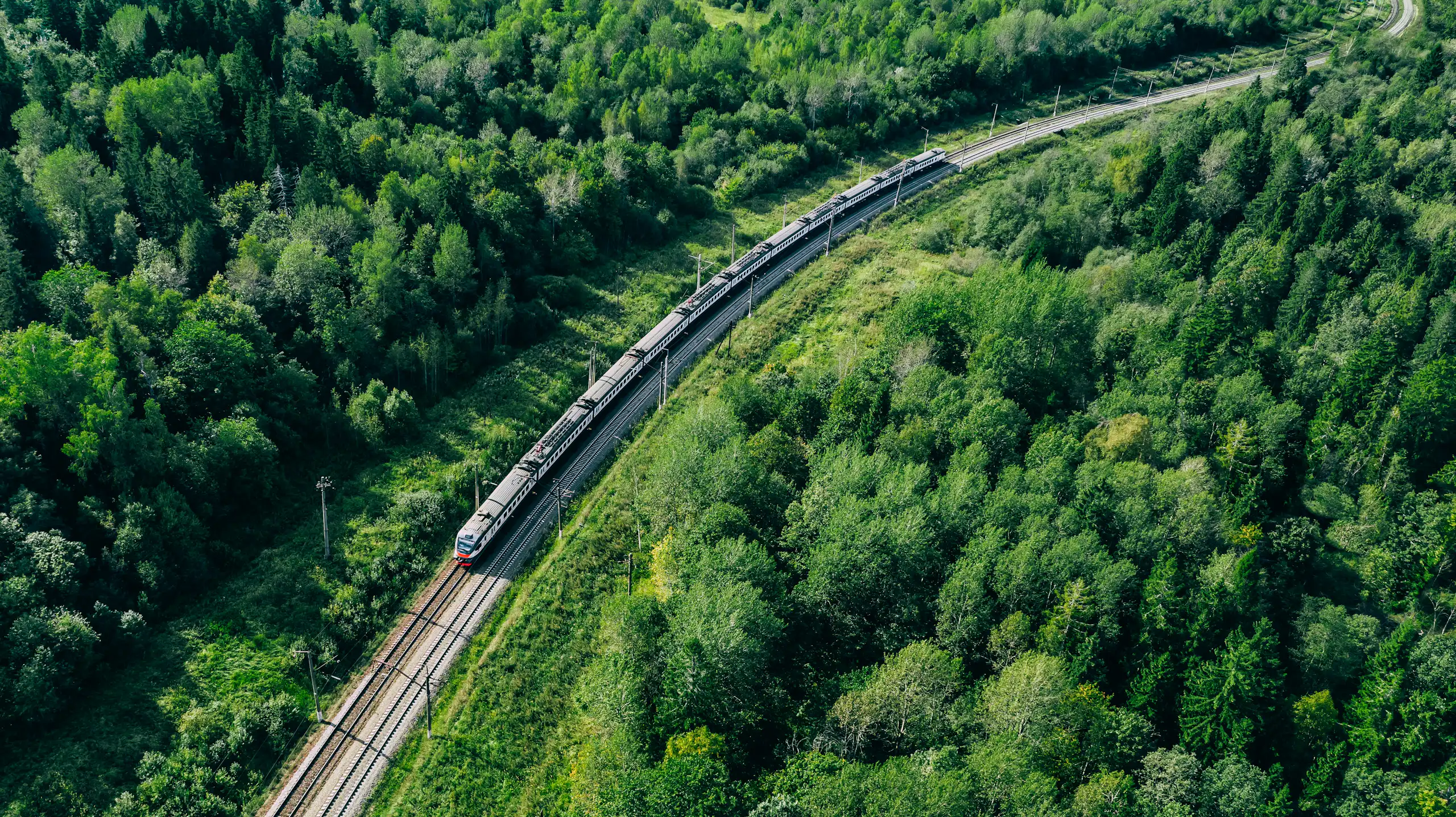 Vue aérienne de train sur une voie ferrée passant dans une forêt verdoyante.