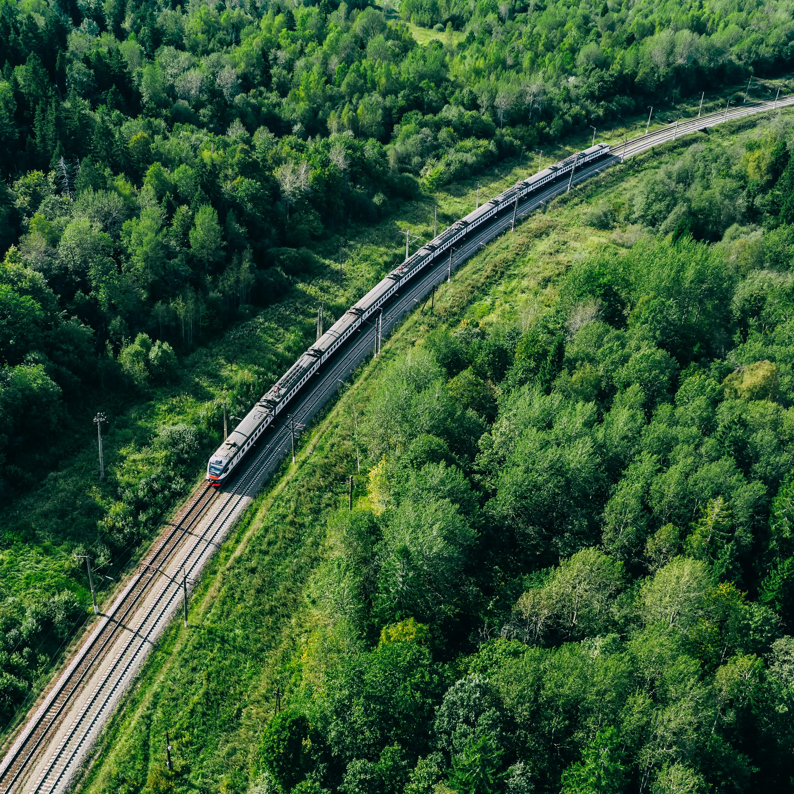 Vue aérienne de train sur une voie ferrée passant dans une forêt verdoyante.