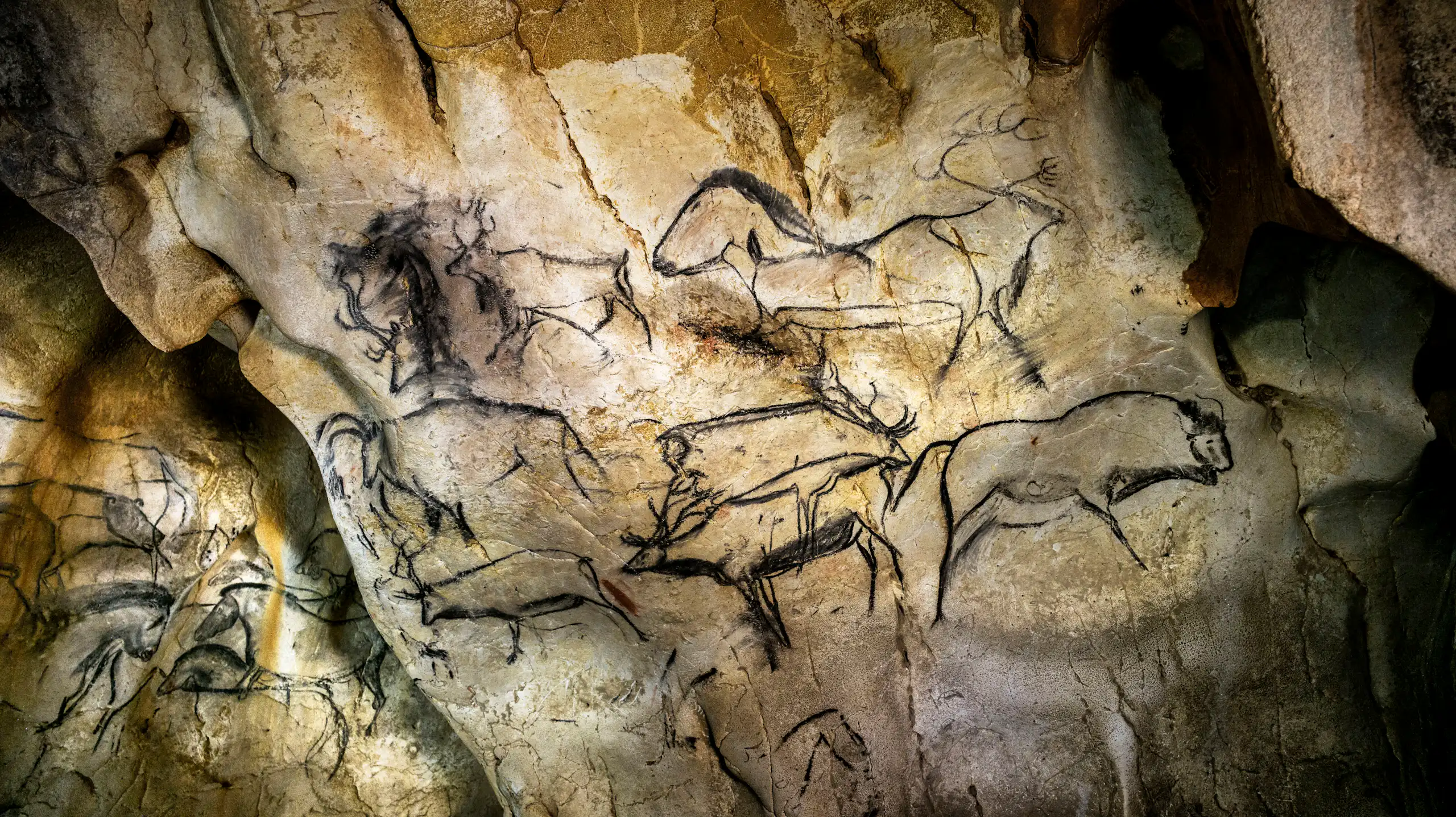 Des peintures sur les parois rocheuses de la grotte Chauvet à Vallon Pont d'Arc, dans le sud-est de la France. Il s'agit des plus anciennes peintures rupestres connues en Europe, avec des empreintes de mains et des représentations de chevaux et d'autres animaux datant d'environ 36 000 ans pour les plus anciennes.