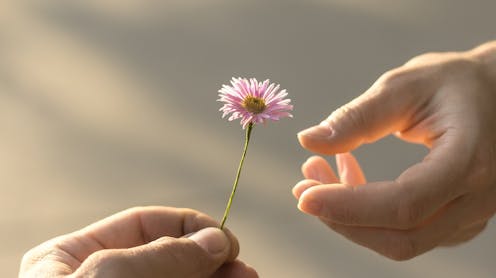 how ‘nice guy’ narratives can lead to male entitlement and violence against women