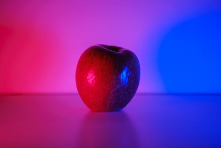 Apple under a gradient of red to blue light