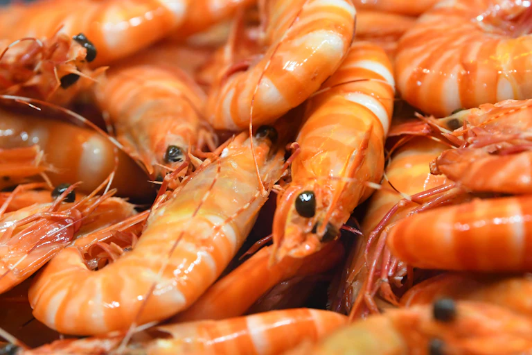 pile of prawns at markets