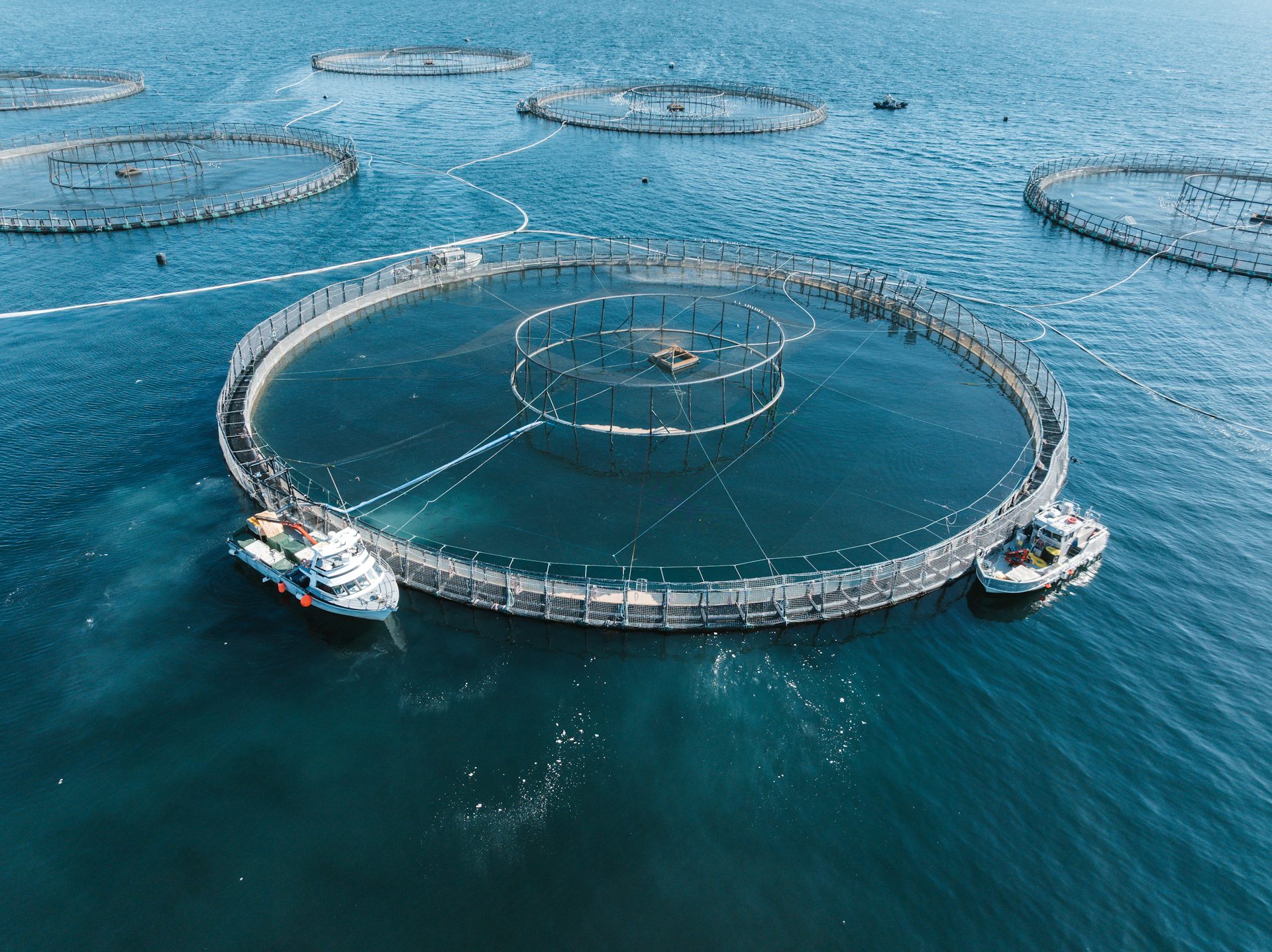 round infrastructure in salmon farm
