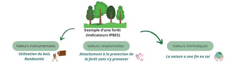 Are we able to reconcile the mining restoration in France and maintaining organic variety? 4 file 20250404 62 subp71.jpg?ixlib=rb 4.1