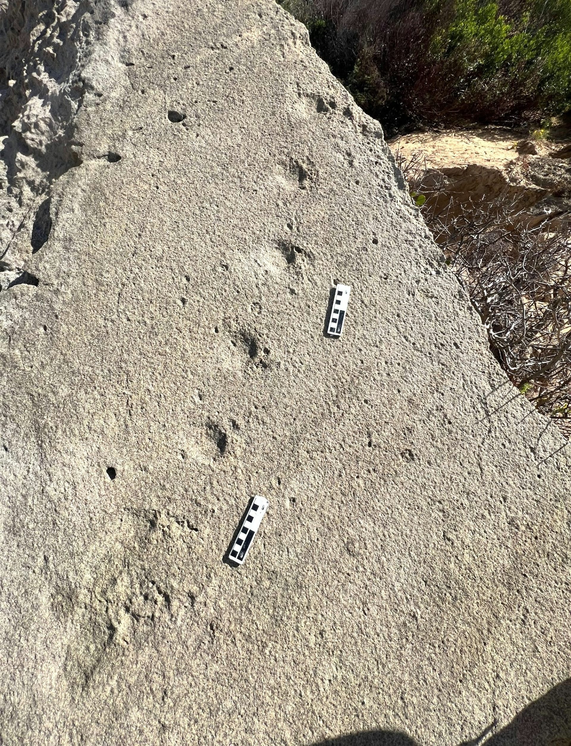 Rocky surface with a row of dents in it