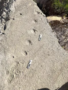 Rocky surface with a row of dents in it