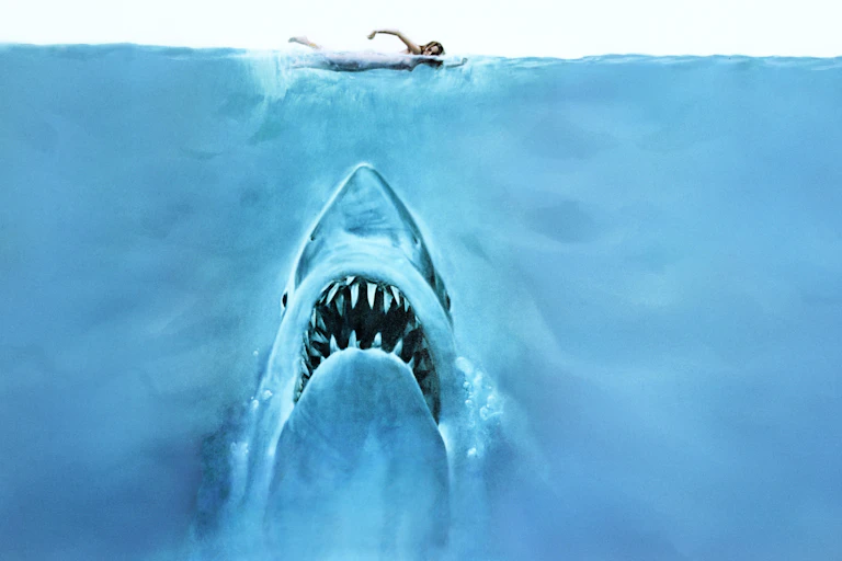 A shark swims beneath the water's surface toward a woman swimming