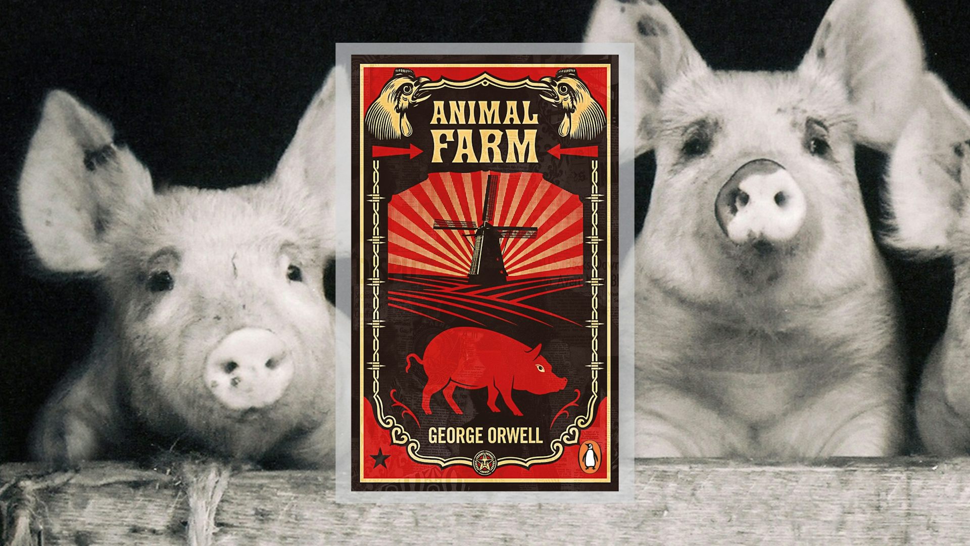 Animal Farm 25周年記念版 George Orwell Animal Farm 25周年記念版 George Orwell Animal Farm: 75th