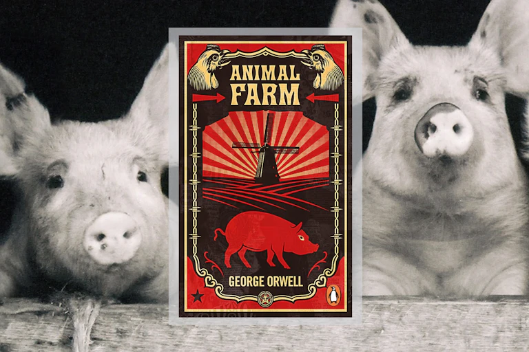 The book cover for Animal Farm collaged over a photo of pigs