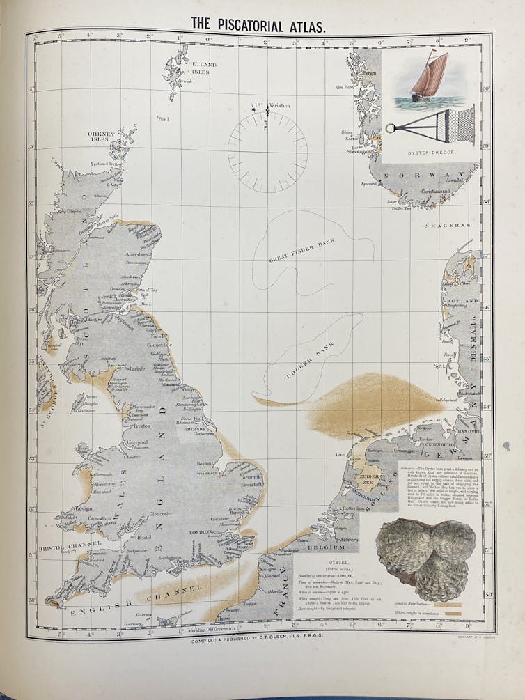 What a Nineteenth-century atlas teaches me about marine ecosystems 1 old map of British isles, patches of brown in sea to indicate oyster bed locations