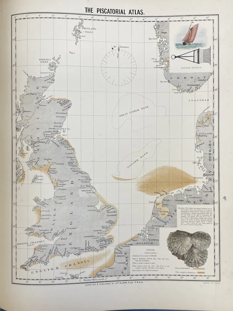 old map of British isles, patches of brown in sea to indicate oyster bed locations