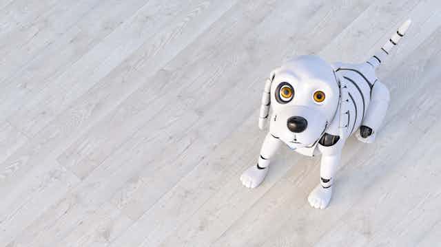 a robot dog sitting and looking up at the viewer