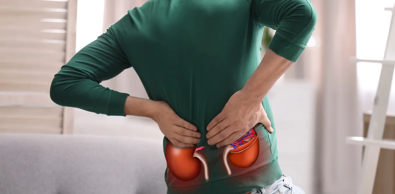 From popping painkillers to shortage of sleep, seven common habits that could be harming your kidneys From popping painkillers to shortage of sleep, seven common habits that could be harming your kidneys