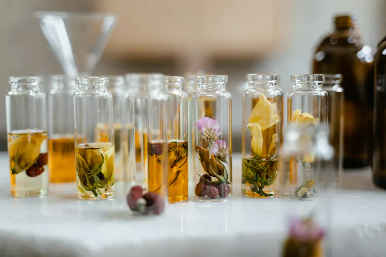 Small bottles of botanicals