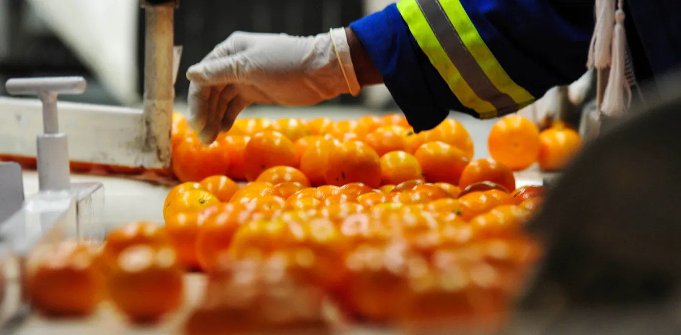 Trump’s tariff hikes and South Africa: hunt for new agricultural markets must begin now Trump’s tariff hikes and South Africa: hunt for new agricultural markets must begin now