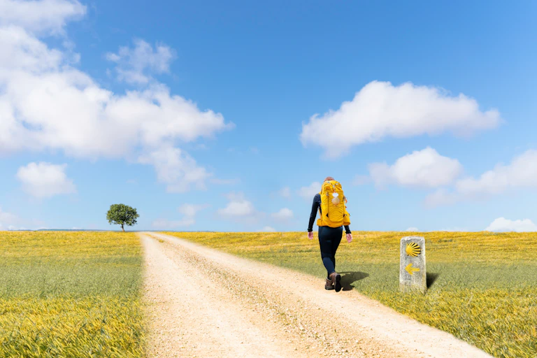 A woman with a yellow backpack walking through a field of yellow flowers