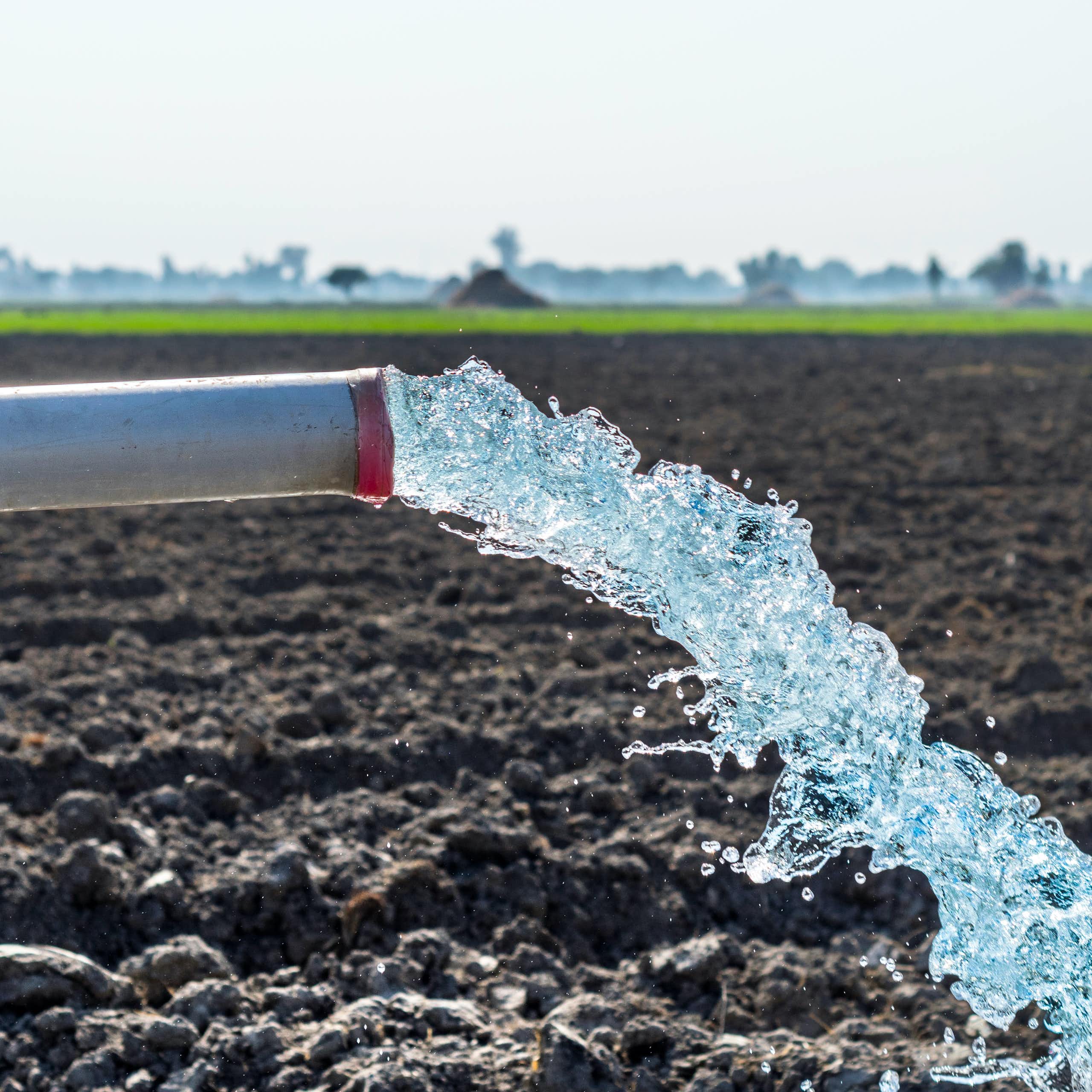 Razones para robar agua