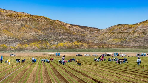 Hotter and drier climate in Colorado’s San Luis Valley contributes to kidney disease in agriculture workers, new study shows