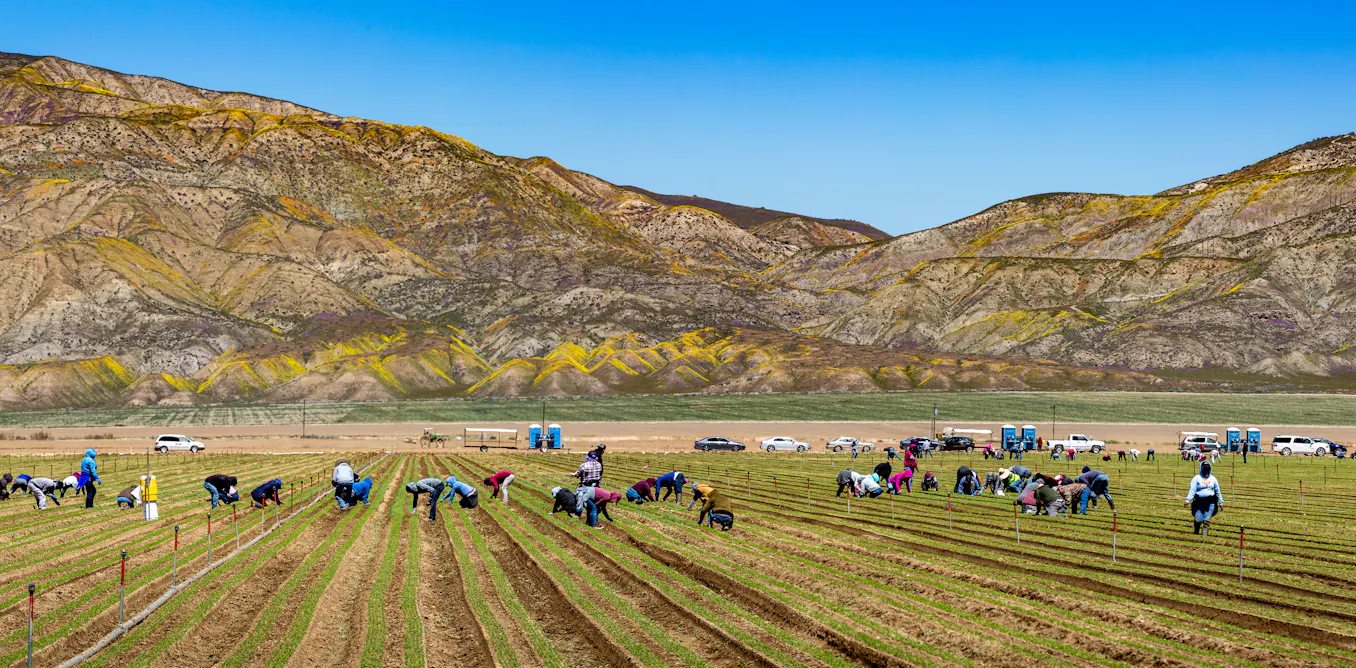 Hotter and drier climate in Colorado’s San Luis Valley contributes to kidney disease in agriculture workers, new study shows Hotter and drier climate in Colorado’s San Luis Valley contributes to kidney disease in agriculture workers, new study shows