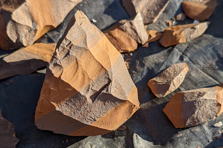 various shards of a variegated stone