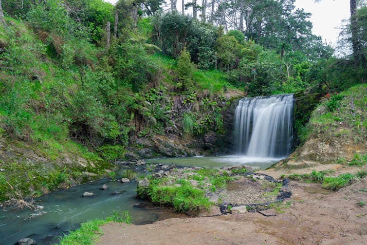 Scenic view of Oakley Creek waterfall in Auckland.