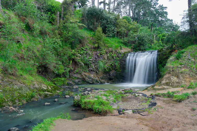 Scenic view of Oakley Creek waterfall in Auckland.