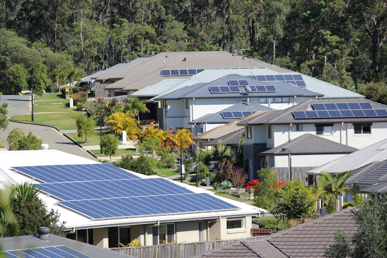 Several houses with rooftop solar panels set against a bush background