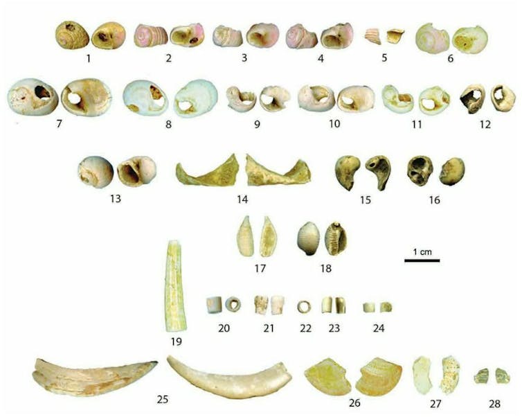 Immersed in on a regular basis lifetime of other people in prehistoric climate 40 000 years in the past 3 Shells used as the decorations of the Magdalenial site Peirazet (Lot)