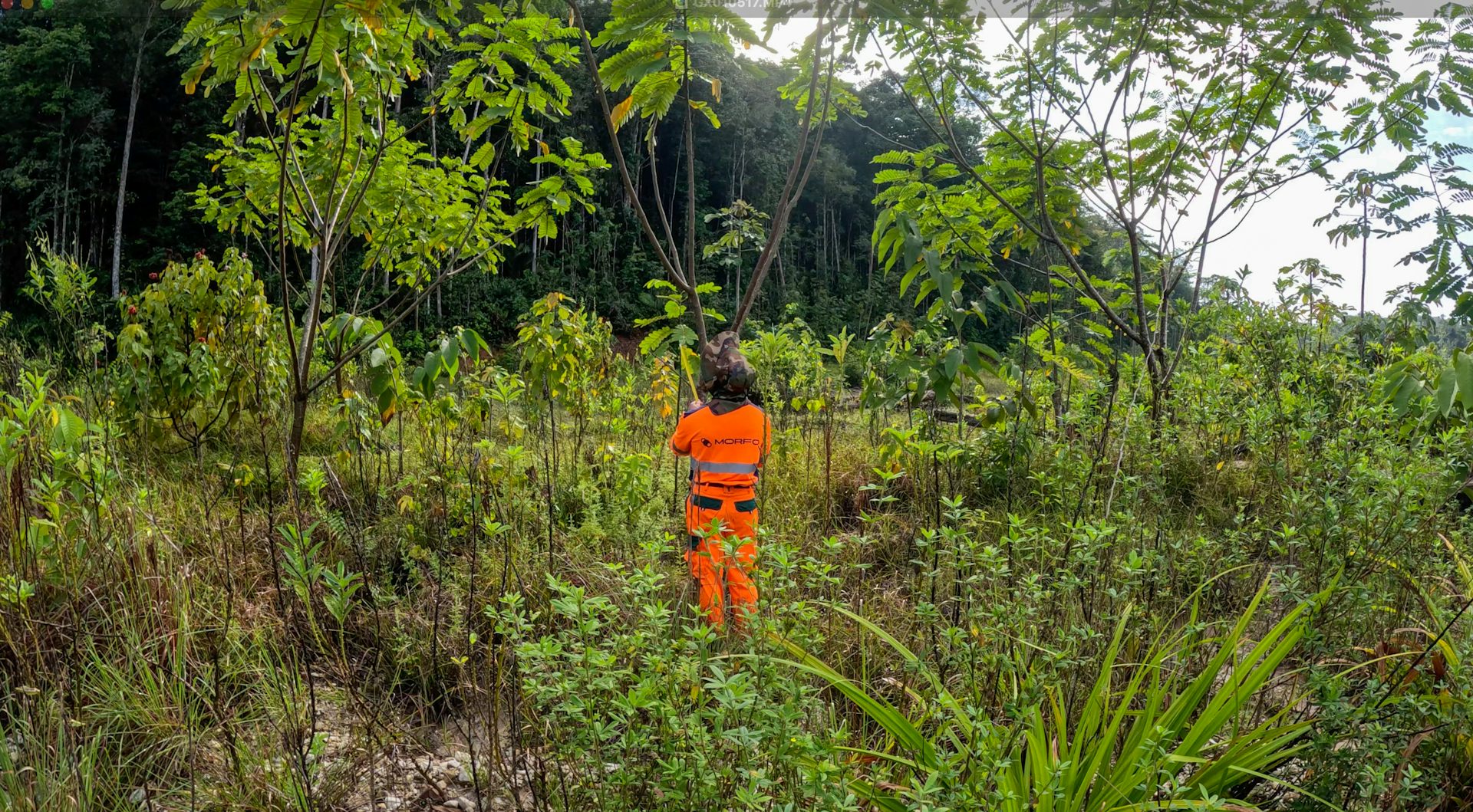 Pessoa vestida de uniforme laranja em meio a uma área de floresta