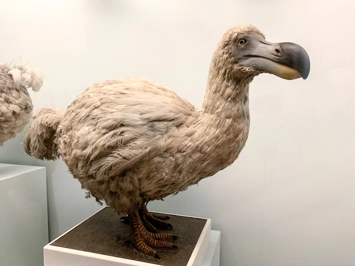 Extinct Real Can we really resurrect extinct animals, or are we just creating hi ...