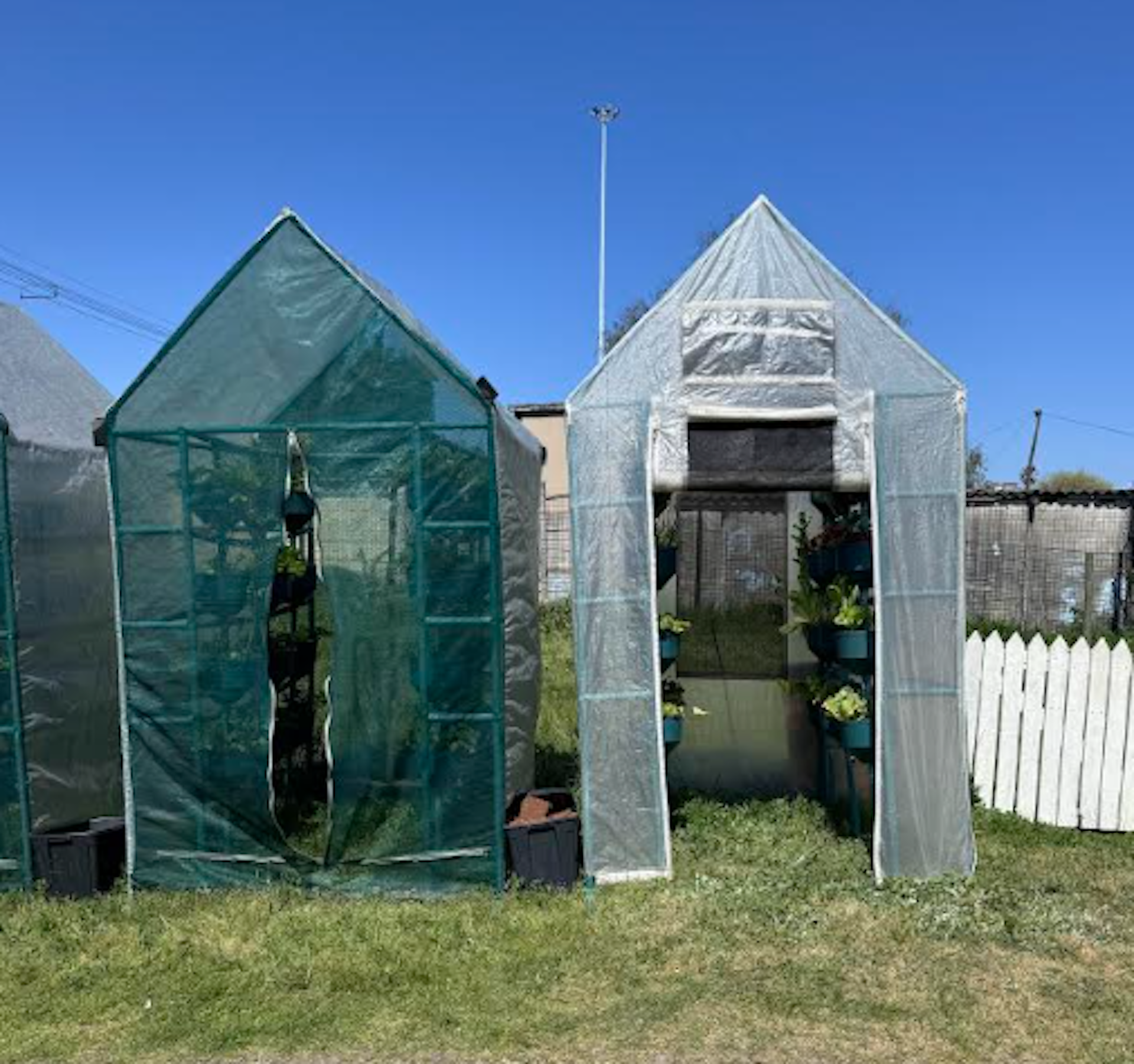 Two small greenhouses with 6 layers of vegetables growing vertically inside each