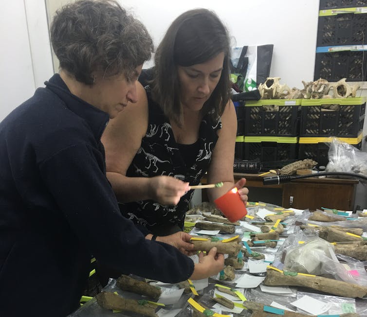 Dos mujeres que trabajan sobre la mesa cubiertas de bolsas de plástico.