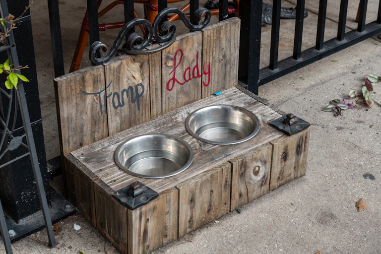 Communal water bowls for dogs, one marked Tramp, the other Lady.