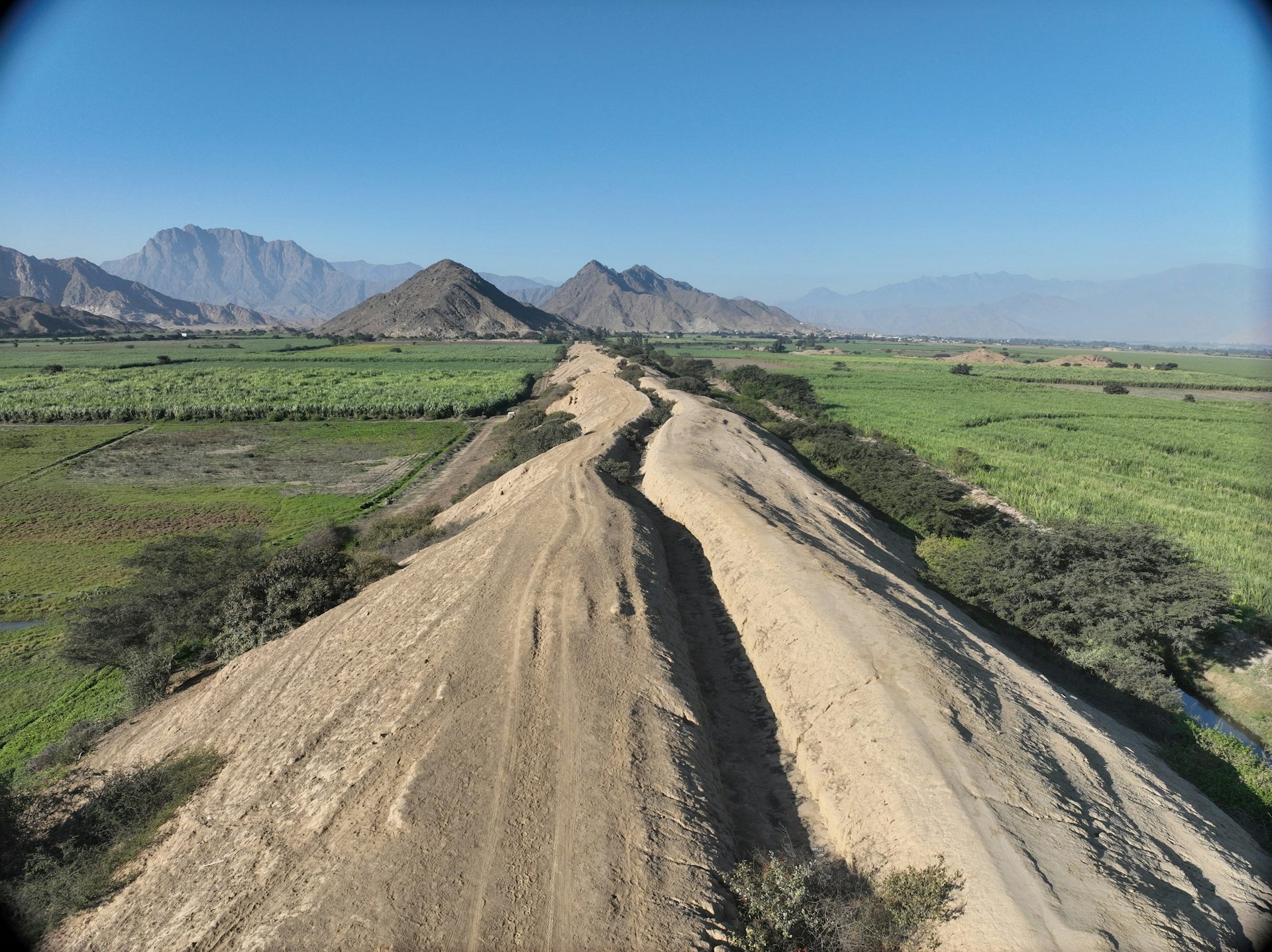 Desertos | Wiki Miller the cockroach team | Fandom, image size:1356x668