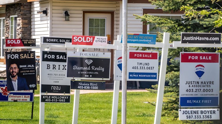 Several real estate for sale signs seen on a lawn