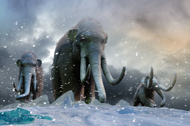Woolly mammoth
