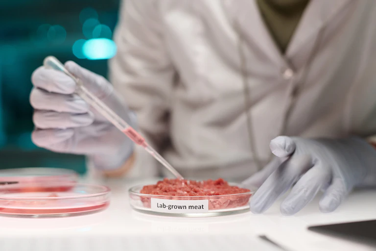 Unrecognisable researcher working on lab-grown meat sample adding liquid in it using pipette.