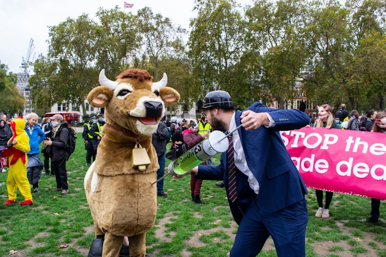 protesters dressed as a cow are injected with fake hormones by another protester.
