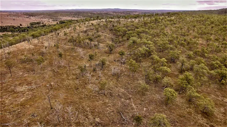 Aerial image showing clearing of regrowth in woodlands on a hillside in Queensland