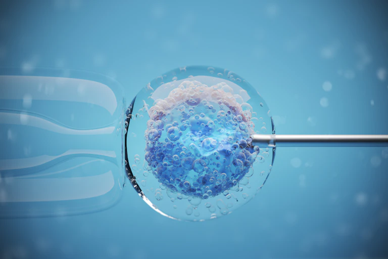 Human egg on end of pipette with needle inserted during IVF