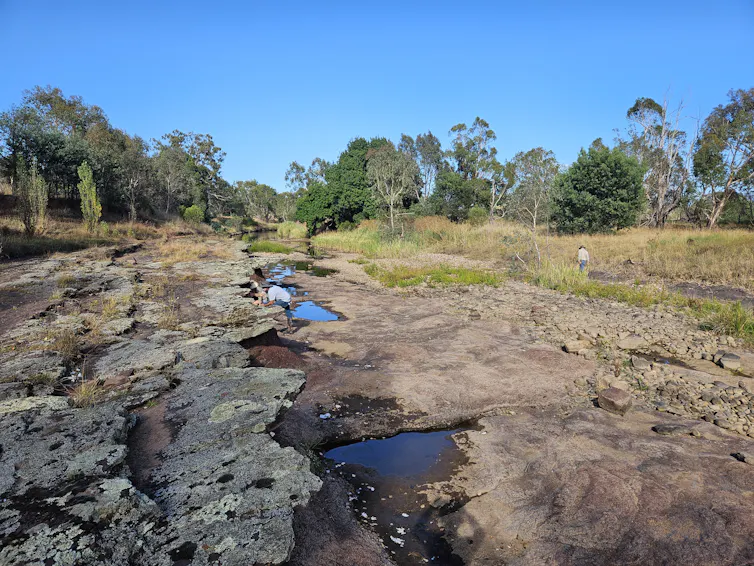 Reptile Fossil Tracks Trigger New Evolutionary Insights File 20250411 56 U7rfnu.jpg?ixlib=rb 4.1