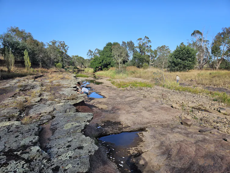 The world oldest reptile came from outcrops of red sandstone in the Mansfield area, Victoria.