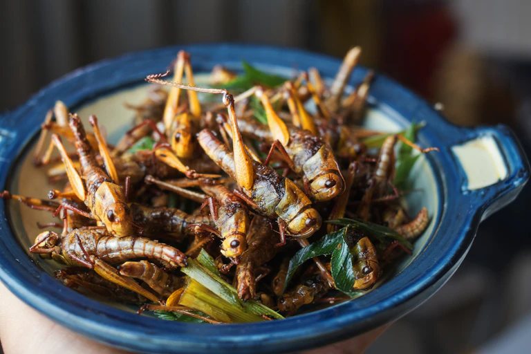 Several, large fried locusts served up on a plate