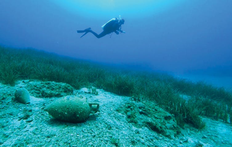 Human connections to seagrass meadows date again 180,000 years, learn about finds 3 file 20250413 56 ez2dh5.jpg?ixlib=rb 4.1