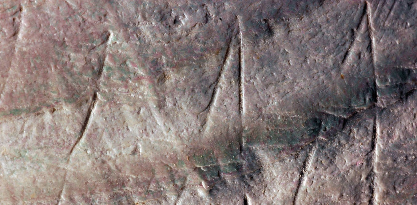 Marks on an ancient shell lead to a re-think of human history