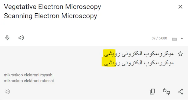 Captura de pantalla de Google Translate que muestra la similitud de los términos farsi para 'vegetativo' y 'escaneo'.