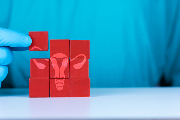 A doctor places a block on top of a puzzle that it shaped like a uterus.
