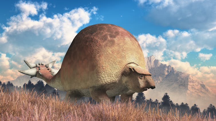Large animal with big armoured shell